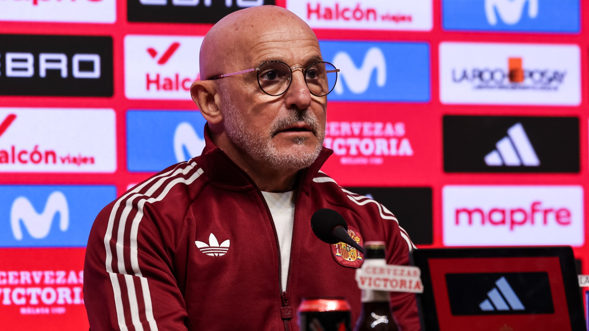 De La Fuente on Spain's WC hopes